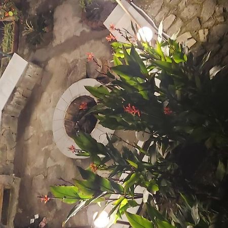 Kasauli Cascade A Cheerfull 4 Bedroom Challet Екстериор снимка