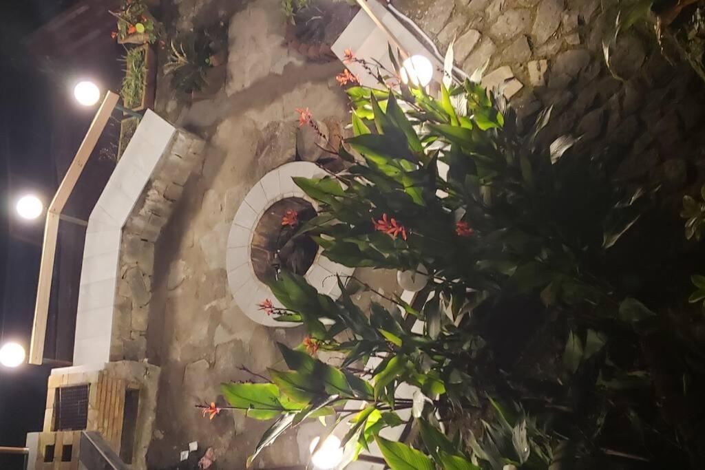 Kasauli Cascade A Cheerfull 4 Bedroom Challet Екстериор снимка