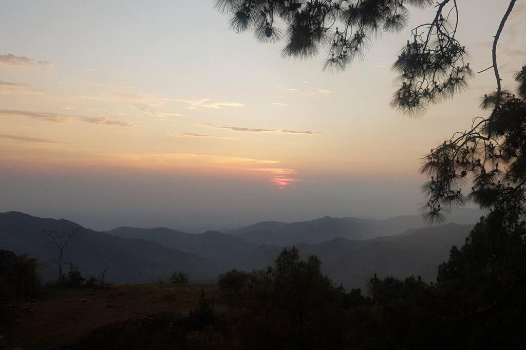 Kasauli Cascade A Cheerfull 4 Bedroom Challet Екстериор снимка
