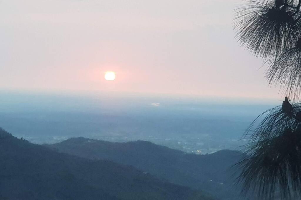 Kasauli Cascade A Cheerfull 4 Bedroom Challet Екстериор снимка
