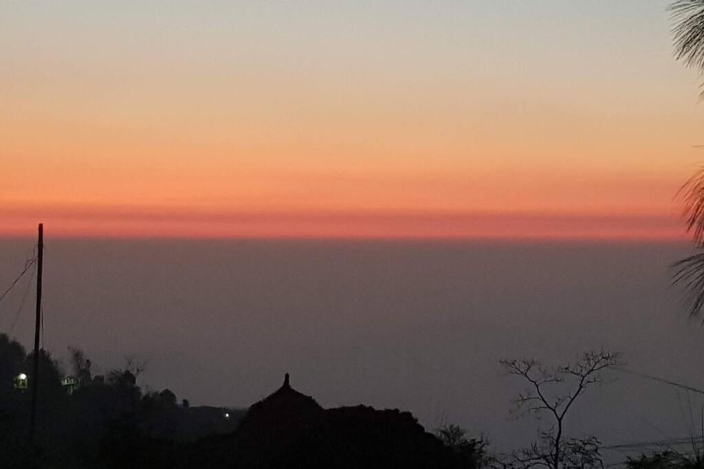 Kasauli Cascade A Cheerfull 4 Bedroom Challet Екстериор снимка