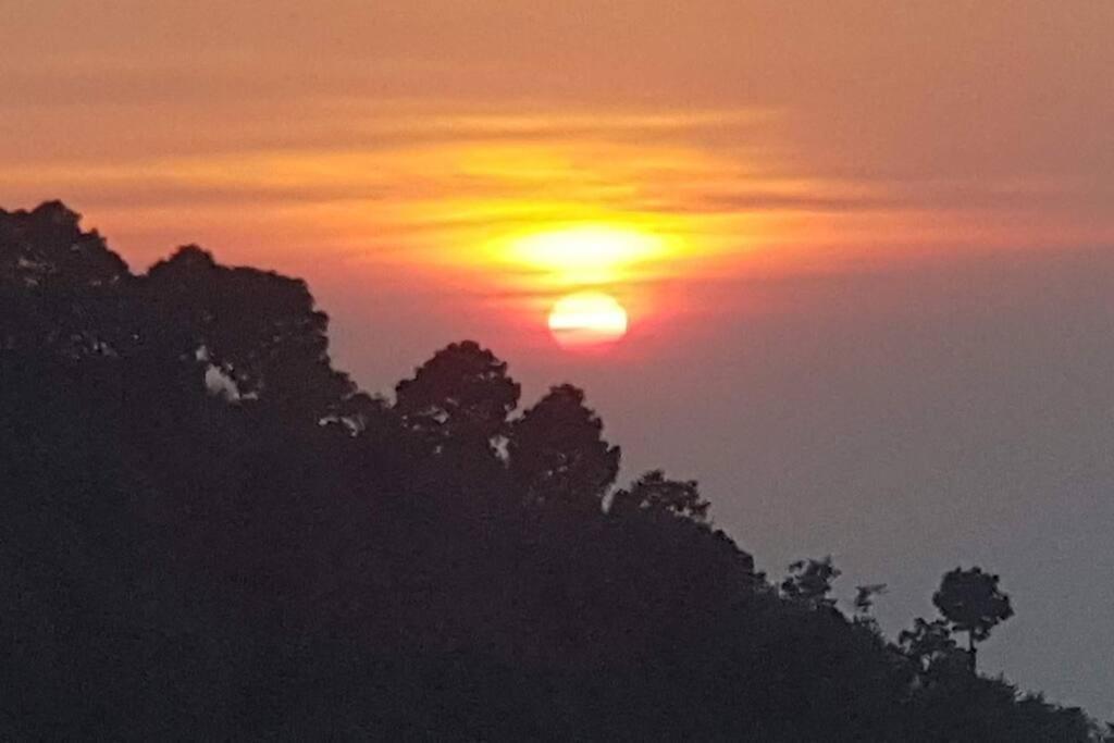 Kasauli Cascade A Cheerfull 4 Bedroom Challet Екстериор снимка