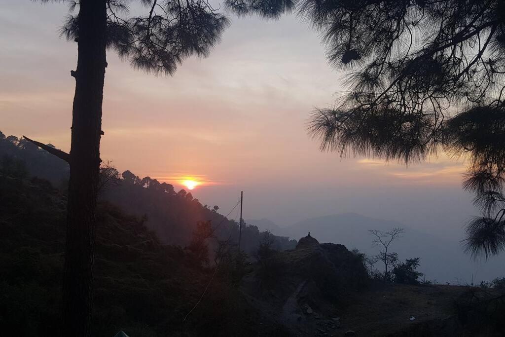 Kasauli Cascade A Cheerfull 4 Bedroom Challet Екстериор снимка