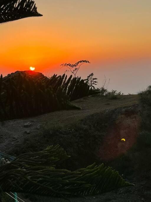 Kasauli Cascade A Cheerfull 4 Bedroom Challet Екстериор снимка